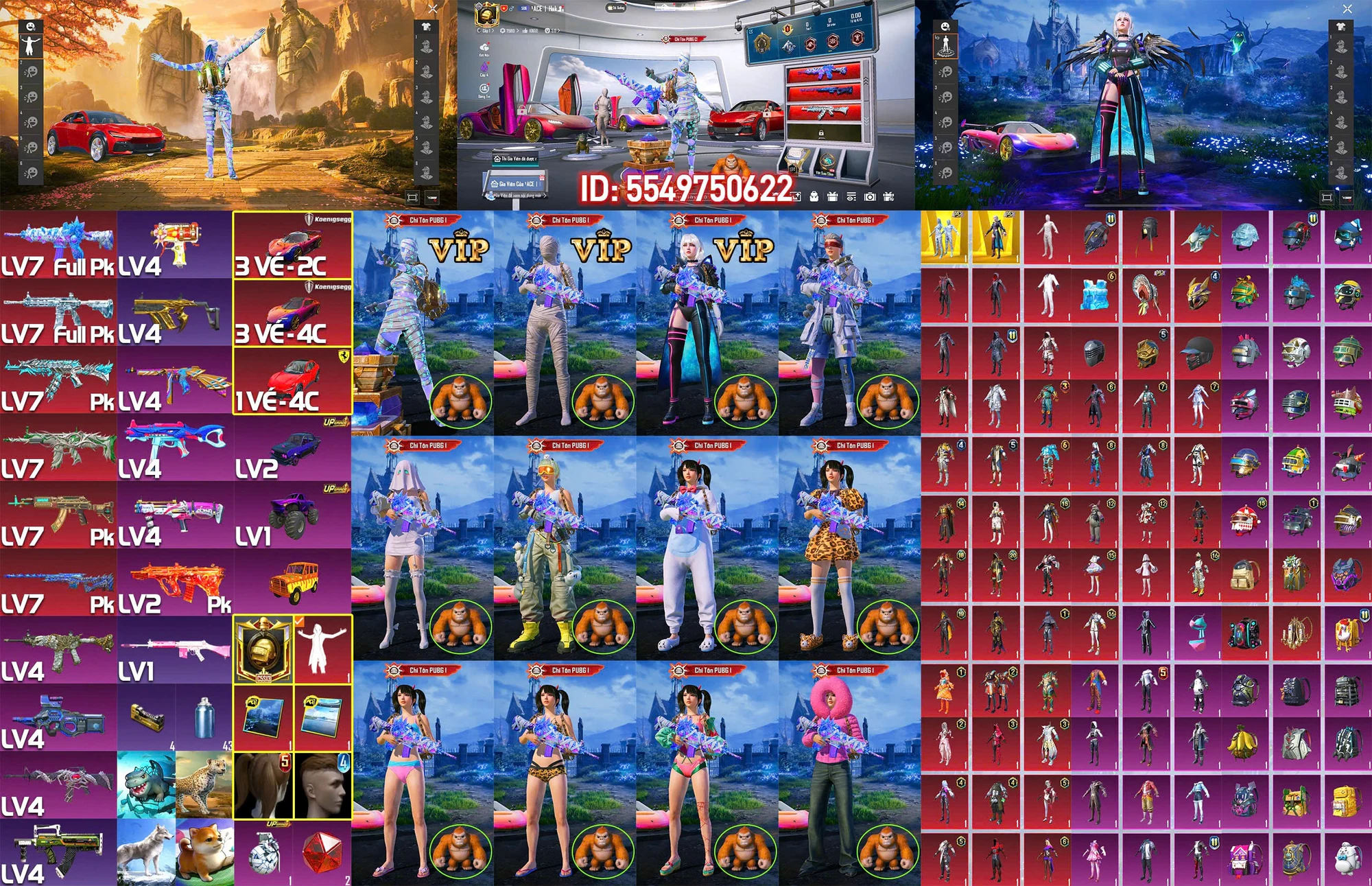Ảnh tài khoản mã 22105